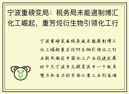 宁波重磅变局：税务局未能遏制博汇化工崛起，重芳烃衍生物引领化工行业新风潮