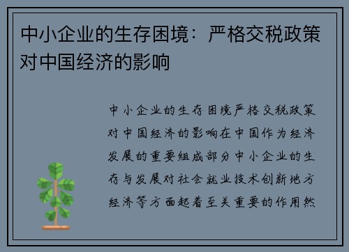 中小企业的生存困境：严格交税政策对中国经济的影响